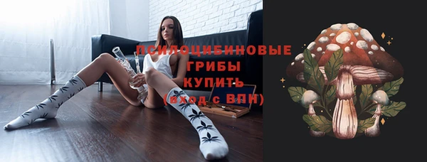СК Абдулино