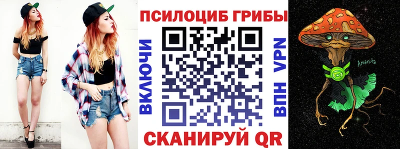 Галлюциногенные грибы Psilocybe  что такое   Богданович 